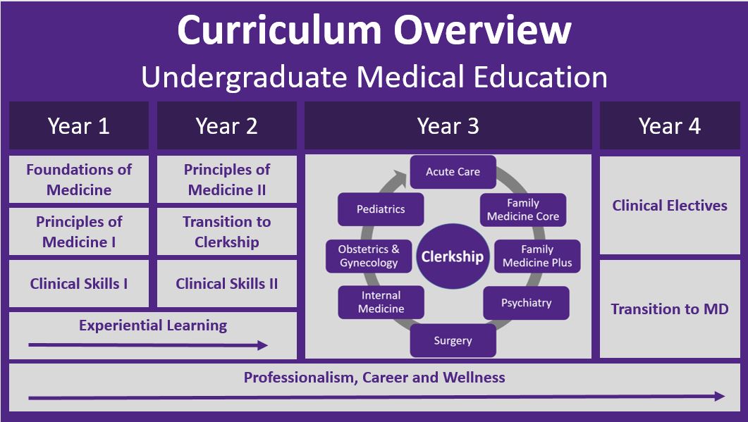 What is 2025 clinical education course